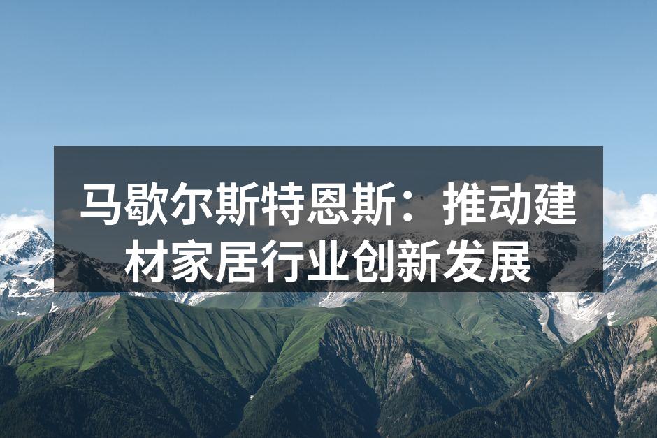 马歇尔斯特恩斯：推动建材家居行业创新发展